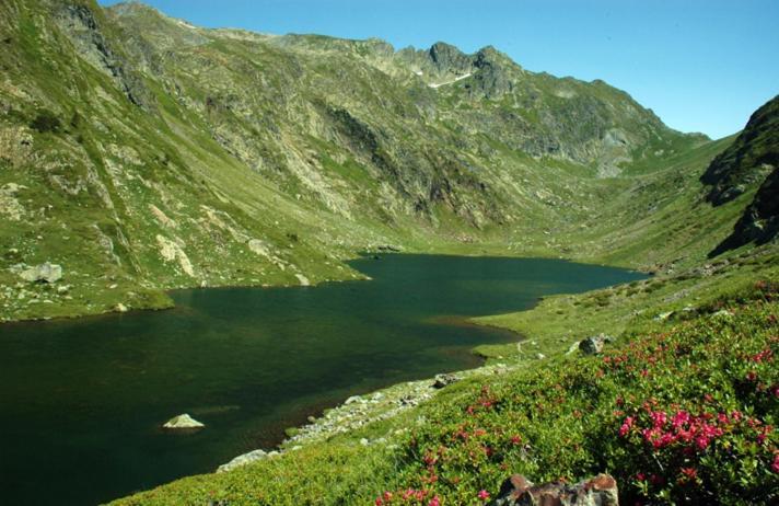 Apartaments Sort Pirineus Экстерьер фото